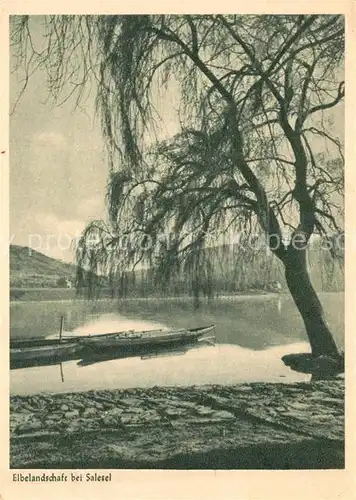 AK / Ansichtskarte Salesel_Tschechien Elbelandschaft Salesel_Tschechien