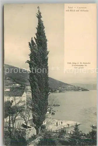 AK / Ansichtskarte Abbazia_Istrien Jelei Cypresse  Abbazia_Istrien