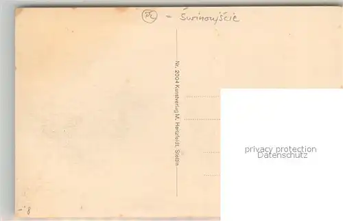 AK / Ansichtskarte Swinemuende_Swinoujscie Segelboot Swinemuende Swinoujscie