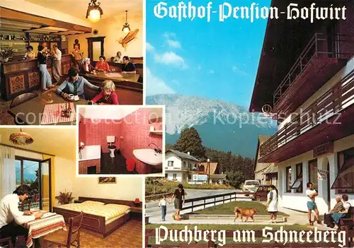 AK / Ansichtskarte Puchberg_Schneeberg Gasthof Pension Hofwirt Puchberg Schneeberg