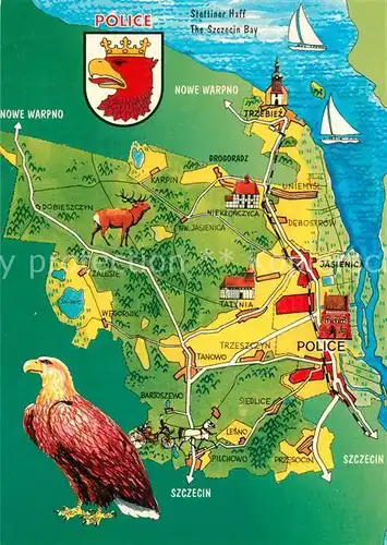 AK / Ansichtskarte Police Landkarte Kueste Stettiner Haff Adler Wappen Police