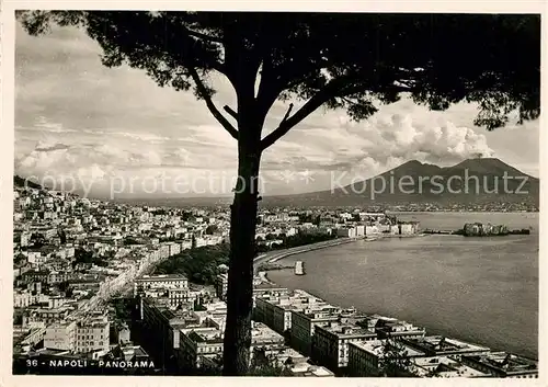 AK / Ansichtskarte Napoli_Neapel Panorama Kueste Vulkan Vesuv Napoli Neapel