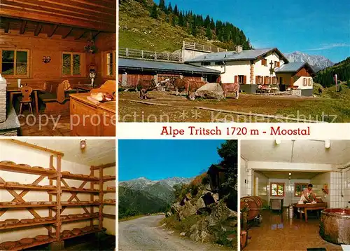 AK / Ansichtskarte St_Anton_Arlberg Jausenstation Alpe Tritsch Almvieh Kuehe Alpen St_Anton_Arlberg