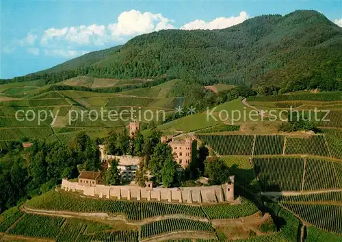 AK / Ansichtskarte Ortenberg_Baden Schloss Weinberge Fliegeraufnahme Ortenberg_Baden