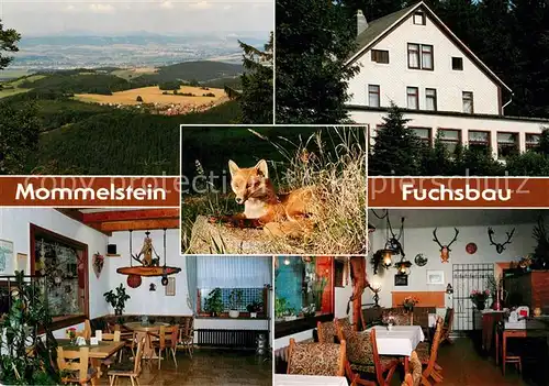 AK / Ansichtskarte Brotterode Berggaststaette Zum Fuchsbau Mommelstein Landschaftspanorama Brotterode