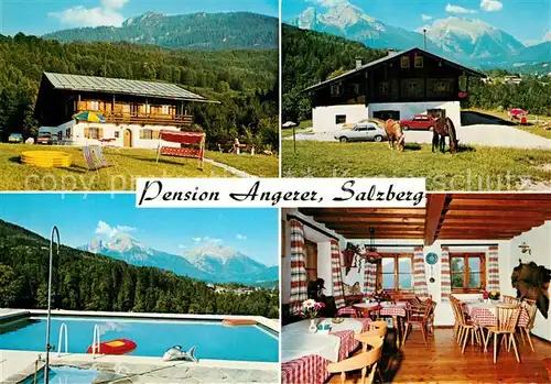 AK / Ansichtskarte Salzberg_Berchtesgaden Pension Angerer Swimming Pool Pferde Alpen Salzberg Berchtesgaden