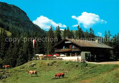 AK / Ansichtskarte Thiersee Berggasthof Ackernalm Almvieh Kuehe Alpen Thiersee