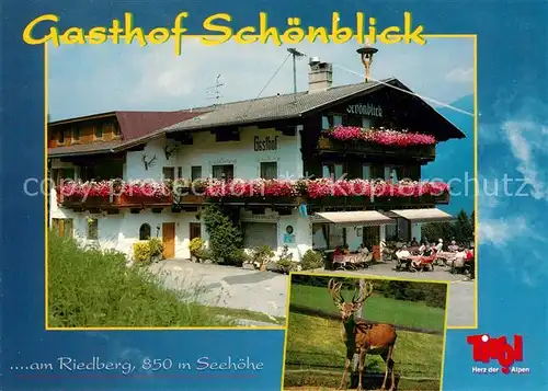 AK / Ansichtskarte Ried_Zillertal Gasthof Schoenblick am Riedberg Hirsch Ried_Zillertal