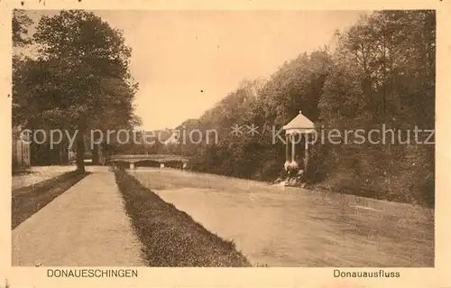 AK / Ansichtskarte Donaueschingen Donauausfluss Donaueschingen