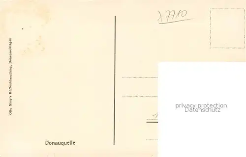 AK / Ansichtskarte Donaueschingen Donauquelle Donaueschingen