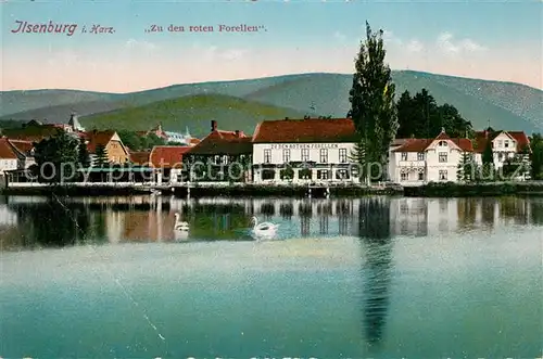 AK / Ansichtskarte Ilsenburg_Harz Zu den roten Forellen Schwaene Ilsenburg Harz