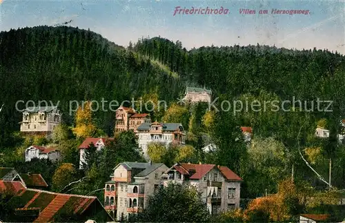 AK / Ansichtskarte Friedrichsroda Villen am Herzogweg Friedrichsroda