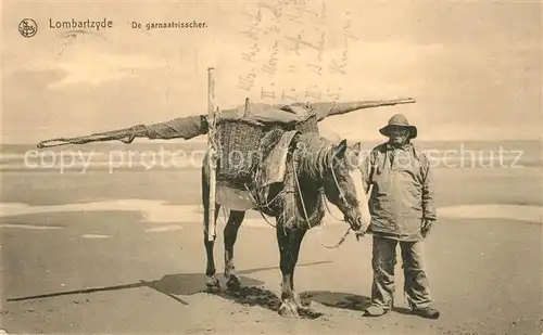 AK / Ansichtskarte Lombartzyde De garnaatvisscher Mann mit Pferd am Meer Lombartzyde