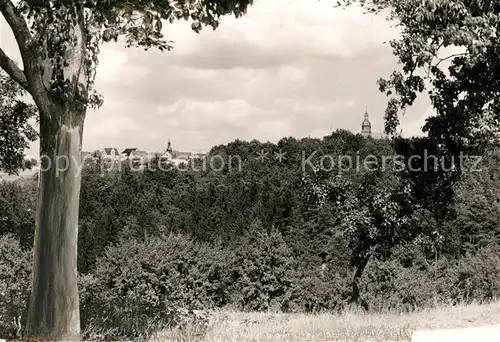 AK / Ansichtskarte Seelbach_Schutter  Seelbach Schutter