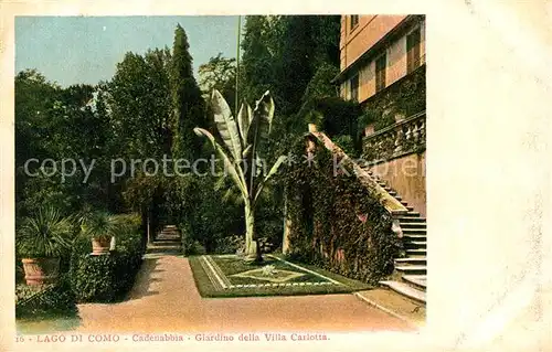 AK / Ansichtskarte Cadenabbia_Lago_di_Como Giardino della Villa Carlotta Cadenabbia_Lago_di_Como