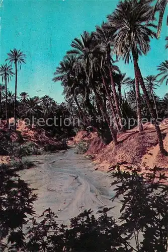 AK / Ansichtskarte Nefta Die Oase Nefta