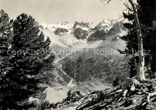 AK / Ansichtskarte Tamangur Arvenwald Starlexgruppe Tamangur