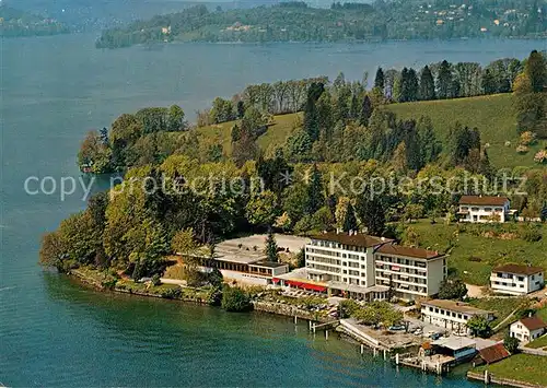 AK / Ansichtskarte Hertenstein_LU Hotel Fliegeraufnahme Hertenstein_LU