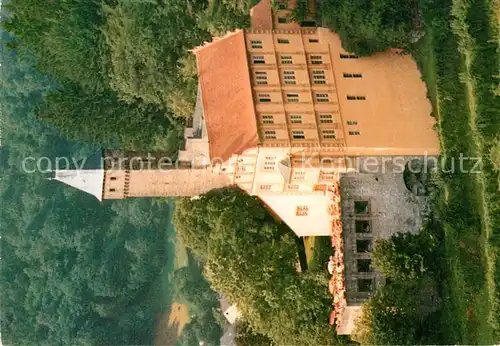 AK / Ansichtskarte Hirschhorn_Neckar Schloss Hirschhorn  Hirschhorn Neckar