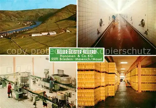 AK / Ansichtskarte Mesenich_Cochem Keller Geister Kellerei mit den Orten Briedern Poltersdorf und Beilstein Landschaftspanorama Mosel Mesenich Cochem