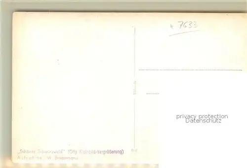 AK / Ansichtskarte Selbach_Gaggenau  Selbach Gaggenau