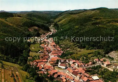 AK / Ansichtskarte Steina_Suedharz Waldschenke Steinatal Fliegeraufnahme Steina Suedharz