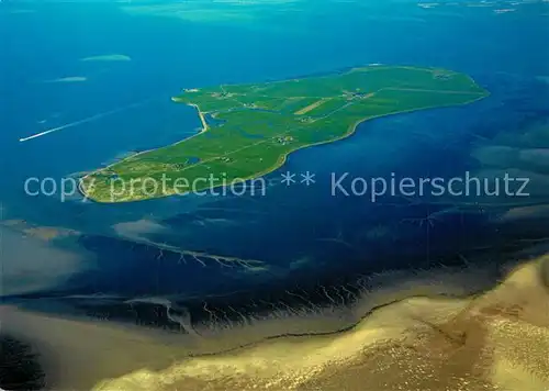 AK / Ansichtskarte Hallig_Hooge Fliegeraufnahme Japsand Hallig Hooge