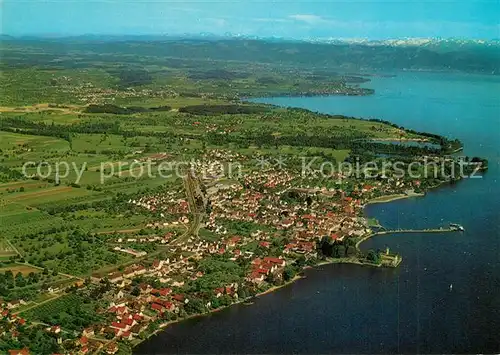 AK / Ansichtskarte Langenargen_Bodensee Alpenblick Fliegeraufnahme Langenargen Bodensee