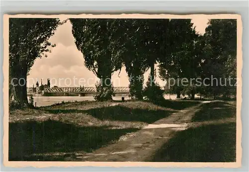 AK / Ansichtskarte Kehl_Rhein Rheinpartie Kehl_Rhein