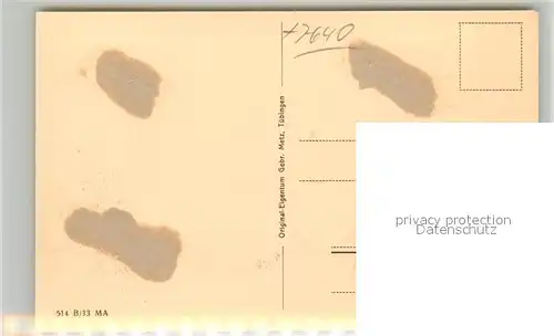 AK / Ansichtskarte Kehl_Rhein Rheinbruecke Kehl_Rhein