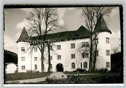 AK / Ansichtskarte Immendingen Schloss Immendingen