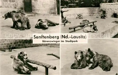 AK / Ansichtskarte Senftenberg_Niederlausitz Baerenzwinger Stadtpark Senftenberg_Niederlausitz