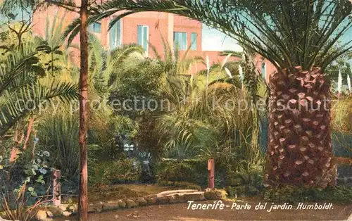 AK / Ansichtskarte Tenerife Humboldt Garten Tenerife