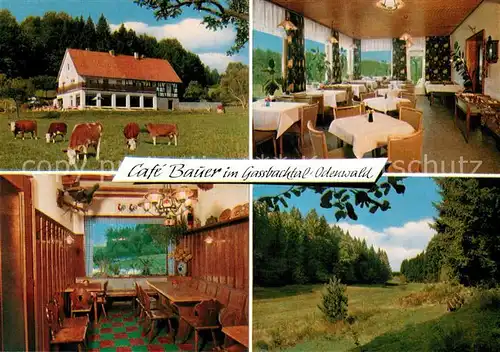 AK / Ansichtskarte Hammelbach Cafe Bauer Viehweide Kuehe Landschaftspanorama Gassbachtal Hammelbach