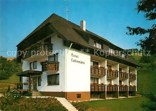 AK / Ansichtskarte Freiamt Gasthof Hotel Ludinmuehle Freiamt