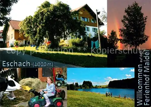 AK / Ansichtskarte Eschach_Kempten Ferienhof Maidel Kinder im Stall Badesee Regenbogen Eschach Kempten