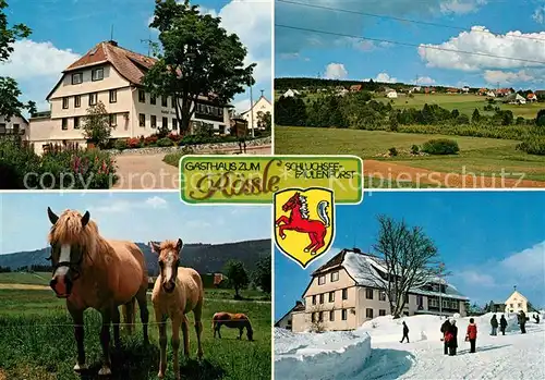 AK / Ansichtskarte Faulenfuerst Gasthaus zum Roessle Pferde Landschaftspanorama Faulenfuerst
