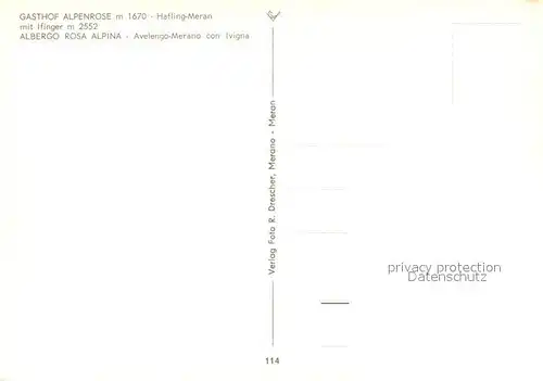 AK / Ansichtskarte Hafling Gasthof Alpenrose Ifinger  Hafling