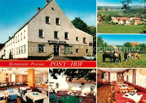 AK / Ansichtskarte Zintlhammer Hotel Pension Ponyhof Restaurant Weiden Landschaftspanorama Zintlhammer