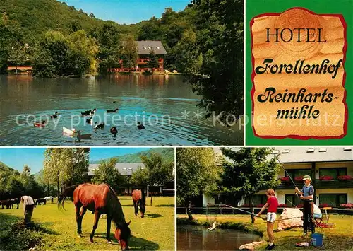 AK / Ansichtskarte Kirn_Nahe Hotel Forellenhof Reinhartsmuehle Pferde Teich Angeln Kirn_Nahe