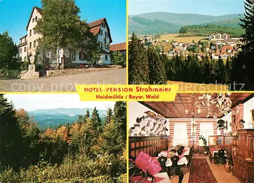 AK / Ansichtskarte Haidmuehle Hotel Pension Strohmeier Landschaftspanorama Bayerischer Wald Haidmuehle