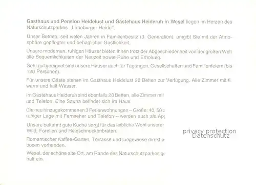 AK / Ansichtskarte Undeloh Gasthaus Pension Heidelust Undeloh