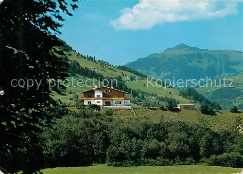 AK / Ansichtskarte Jochberg Sportpension Petra mit Kitzbueheler Horn Jochberg