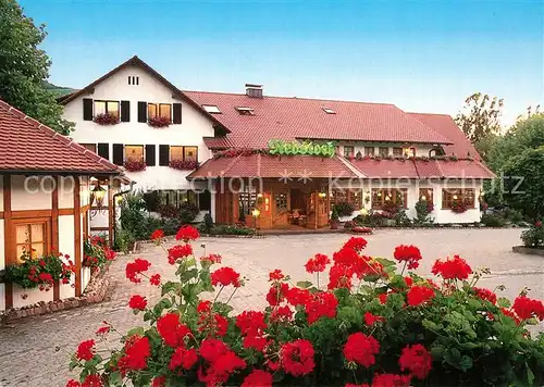 AK / Ansichtskarte Durbach Hotel Restaurant Rebstock Durbach