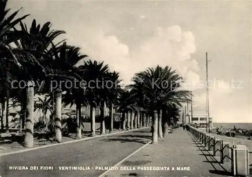 AK / Ansichtskarte Ventimiglia_Riviera_dei_Fiori Palmizio della Passeggiata a mare Ventimiglia_Riviera
