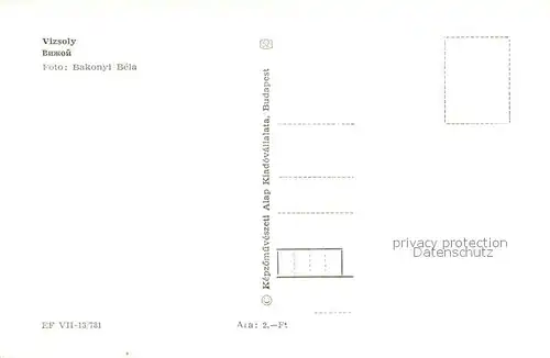 AK / Ansichtskarte Vizsoly Kirche Inneres Buch 