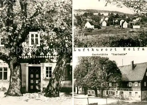 AK / Ansichtskarte Weifa Gaststaette Kastanie Weifa