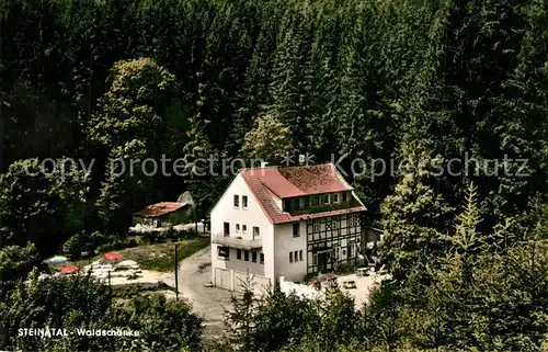 AK / Ansichtskarte Steinatal Waldschaenke Steinatal