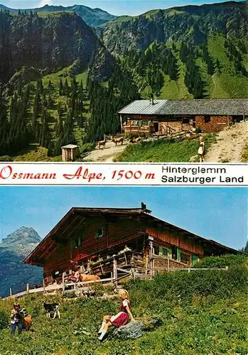 AK / Ansichtskarte Hinterglemm_Saalbach Ossmann Alpe Ausflugsziel Alpen Hinterglemm_Saalbach
