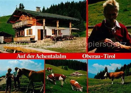 AK / Ansichtskarte Oberau_Tirol Achentalalm Almvieh Kuehe Haflinger Pferd Bergbauer Oberau Tirol
